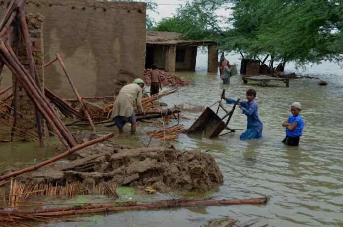 K-P Govt Rolls Out Mobile App for Flood Relief Payments