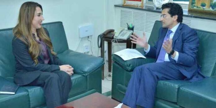 Pakistan, US Eye Deeper Collaboration in Energy and Mineral Development