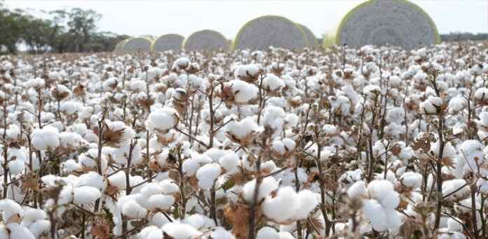 Pakistan to Launch Satellite Program to End Cotton Data Disputes