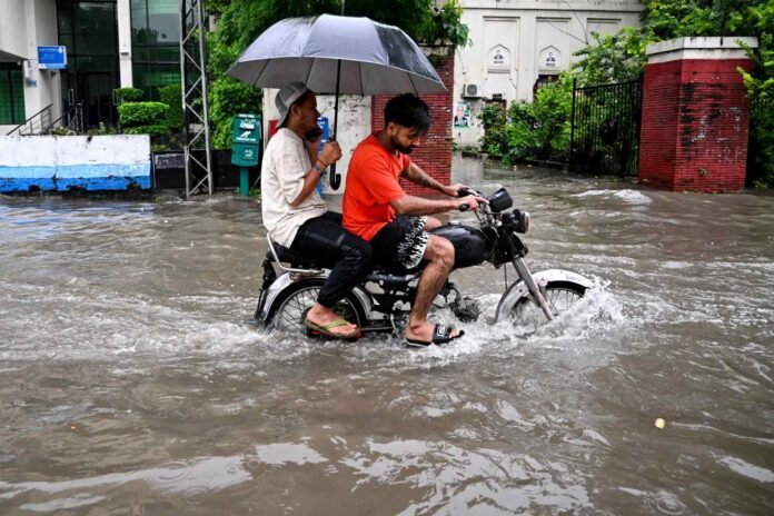 Punjab’s Farmlands Ravaged Rice, Sugarcane, and Cotton Hit Hard by Floods
